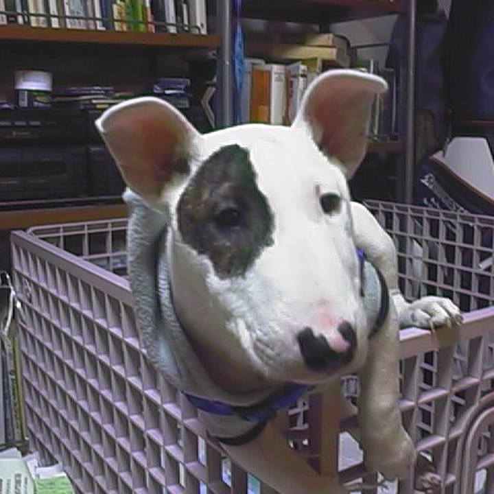 4a85f8b7 0b32 4f1f bf2b 6f2090578970