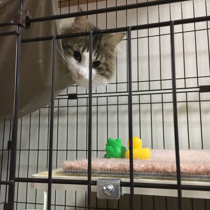 4a862dbf 94dd 4894 ab95 93a75383adde