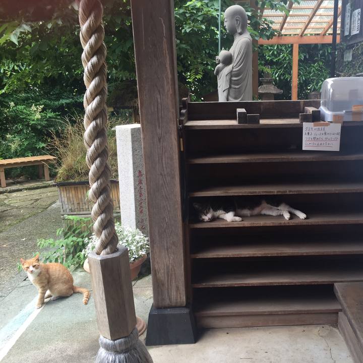 4a873eed fd37 4303 bd5f b45d34681b2c