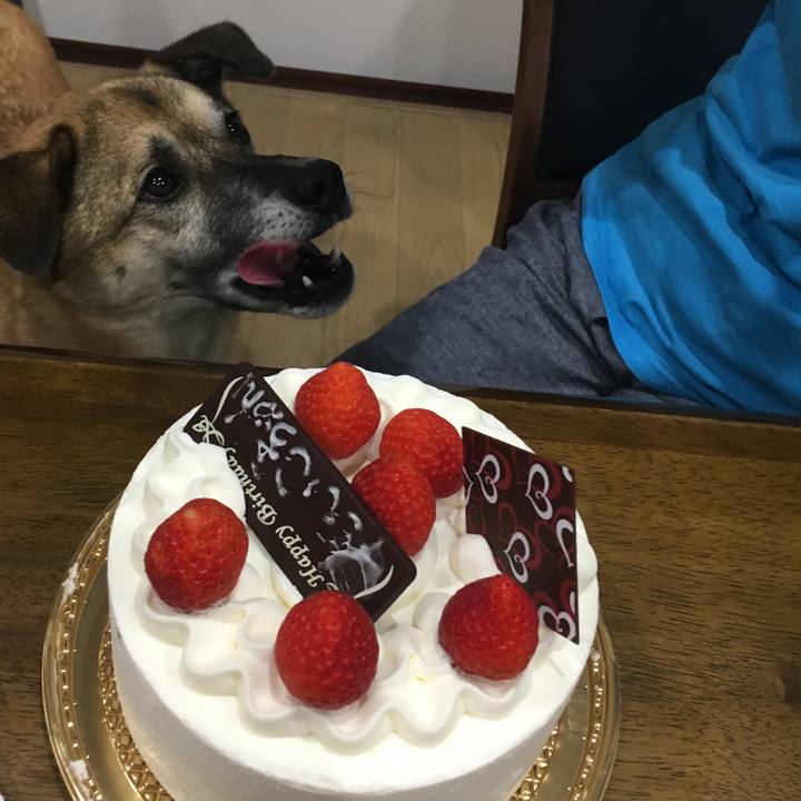 4a876b5e b1e1 4c5f 84e3 3f591eb245c2