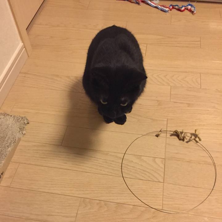 4a8782b6 8afd 43ca b27e 8be3cb7eb44e