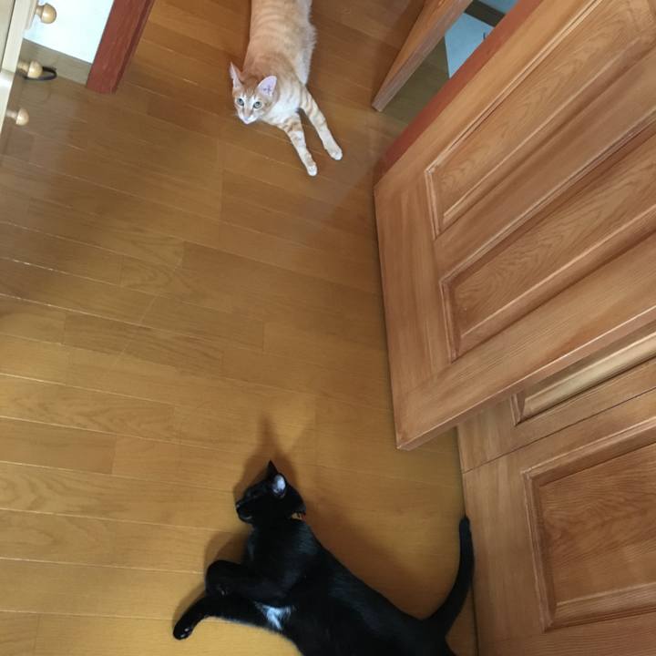 4a879193 b460 47bf a5e7 bff495dfd3a1