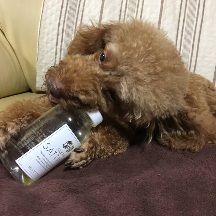 4a87abae 7a96 43c1 a792 fc42369c5929