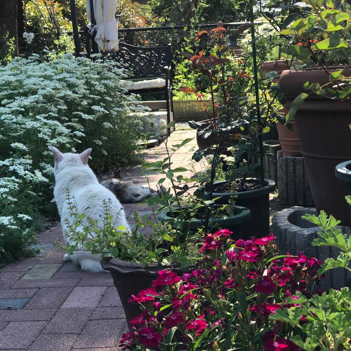 4a87d17b 9e92 4094 a5f3 a7cbb7e01d3e