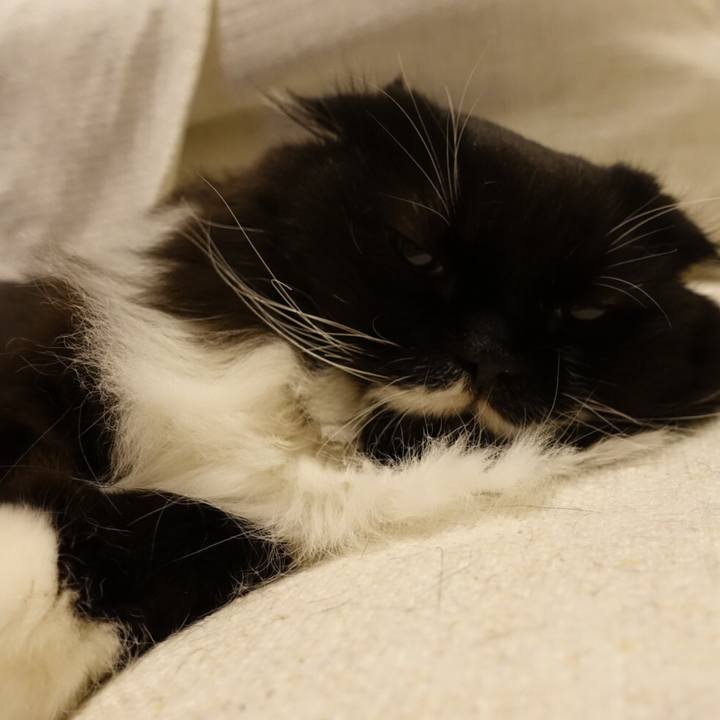 4a88078c 1f6d 4a3f bfe0 fe97d0758b8f