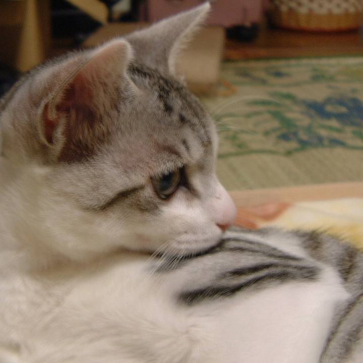 4a88cf75 83c1 41d9 8c2f eb562c736175