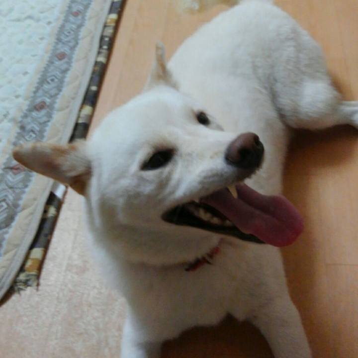 4a8992cd de95 47a4 90f8 de4020b709cb