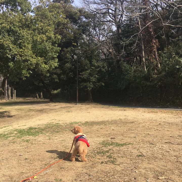 4a8a02de e2b8 4429 b42a c364fca9be60