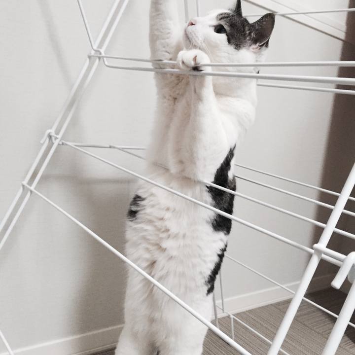 4a8a8260 a497 41c2 a794 5a76a95e5c9e