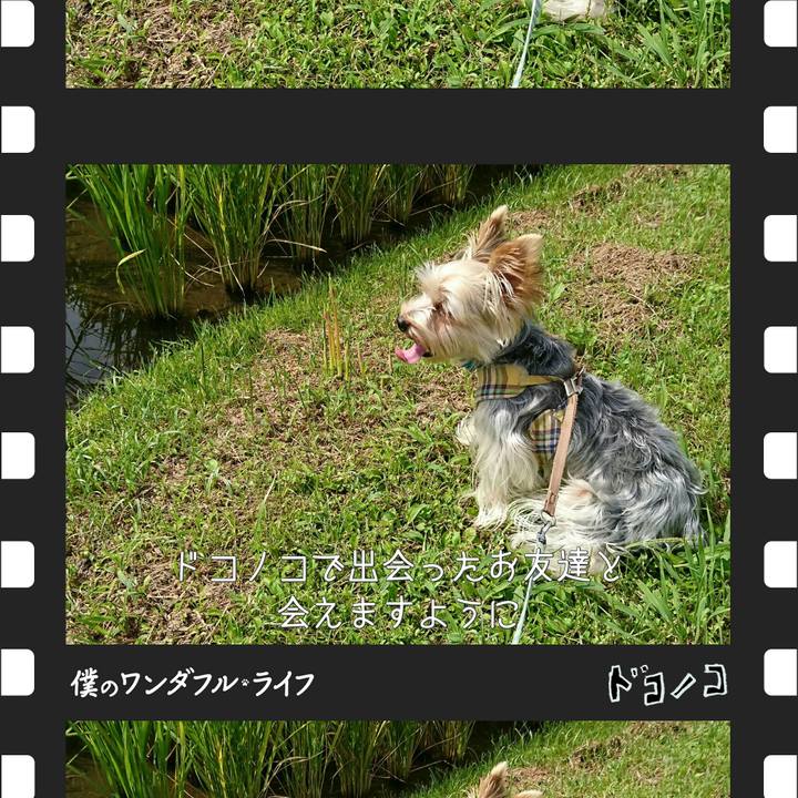 4a8ac978 35b8 40ca 99d5 422d95047e0d