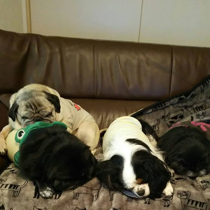 4a8b3a2b be27 4b55 99c7 b884076b543a