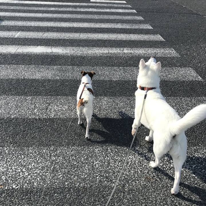 4a8bc3d9 8af6 48a4 9300 ba44473b8bed