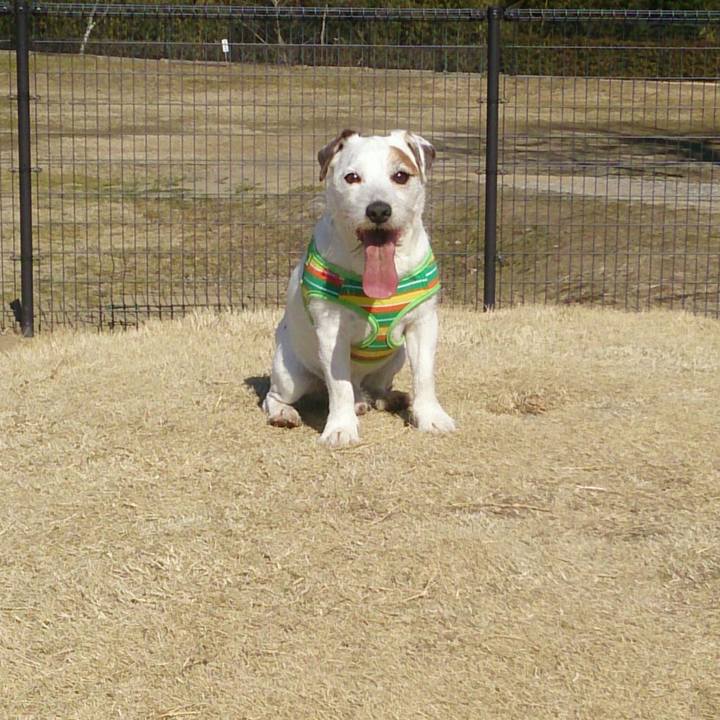 4a8bd37a 8b8c 4f94 aee1 4c92908da10d