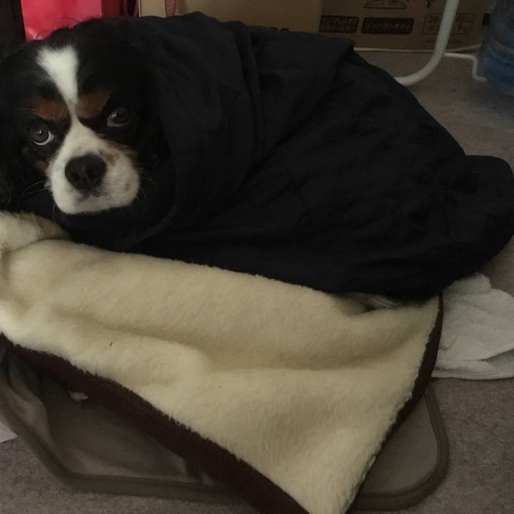 4a8c3a22 52bb 49b6 ba4d 8b70f33e3813