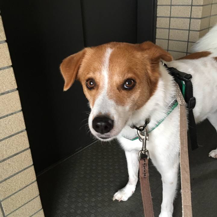 4a8c3ba0 7e34 4cd1 abfe b027625dba41