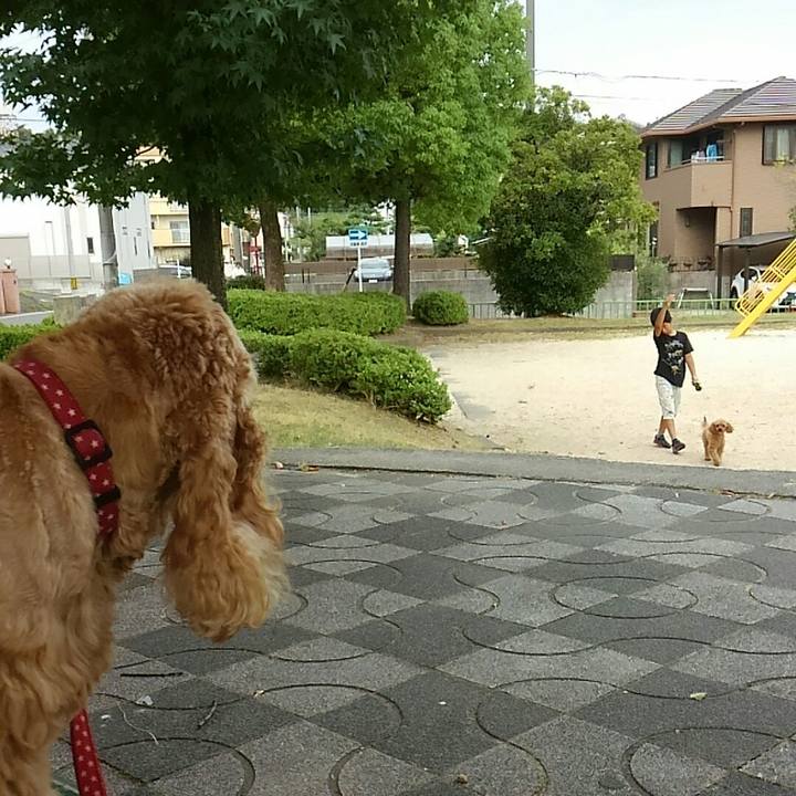 4a8caf0e 2ac1 46c1 9943 67997651d209