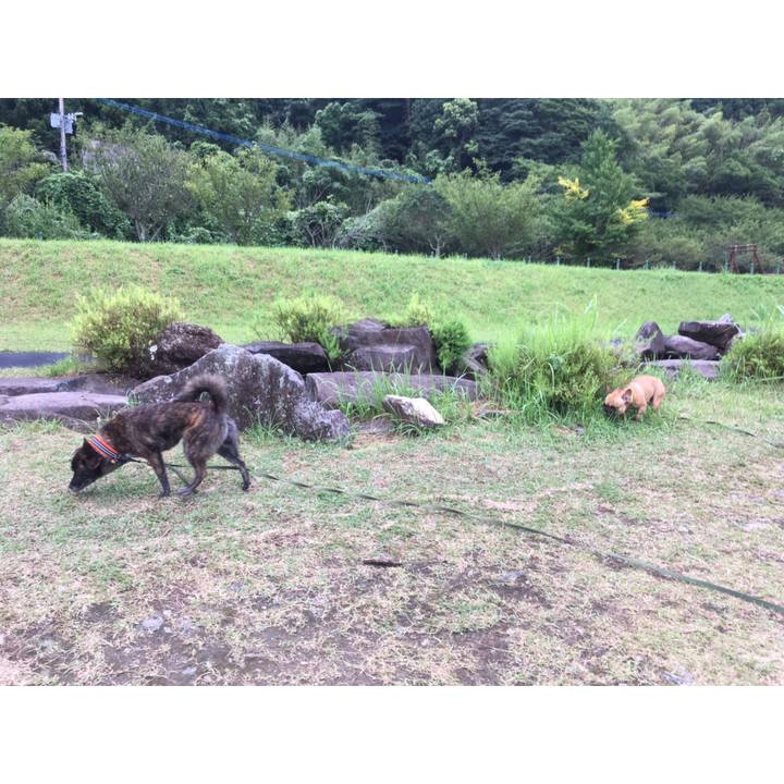 4a8d209f 7278 450a 919a f826e5b690d3