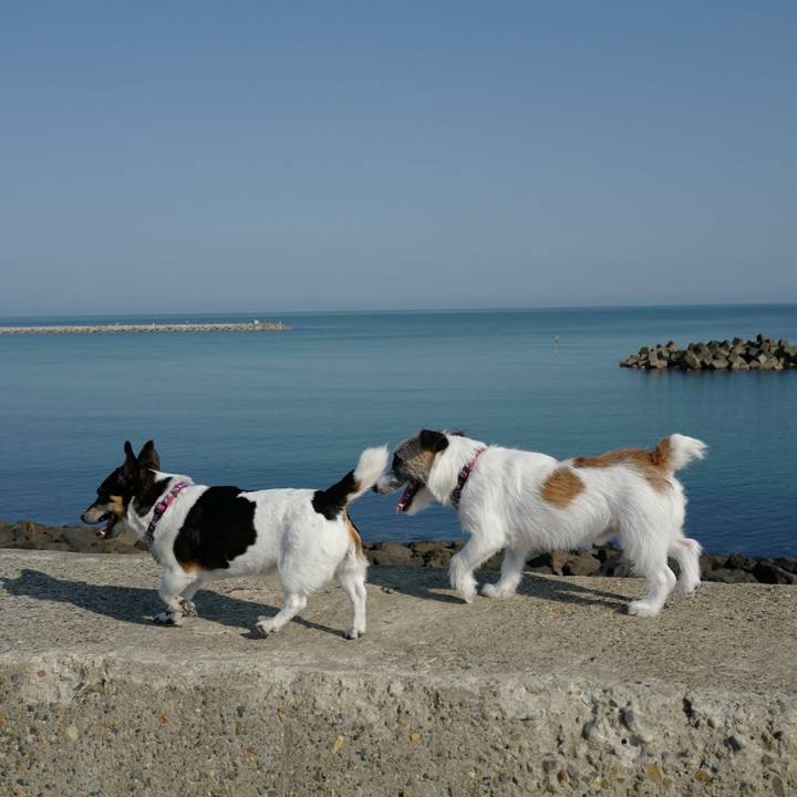 4a8d34b4 8d3c 4a6d 8447 7865781e2197