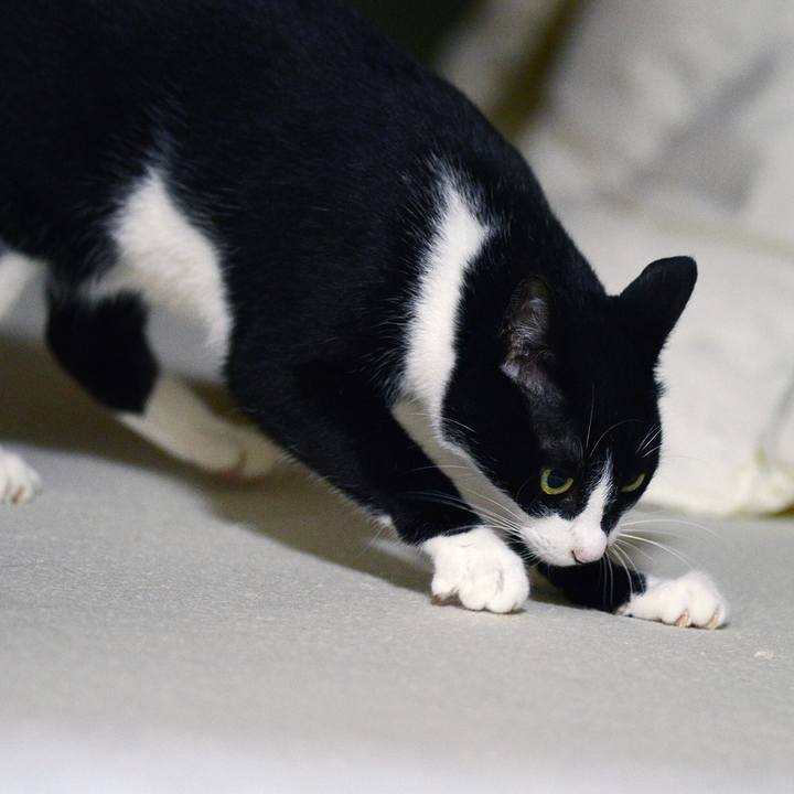 4a8e3225 874c 40a4 8b69 5489ff8a75b0