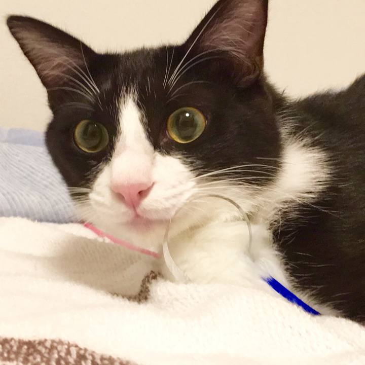 4a8e504b 507c 461b bc8a ebd6dec73951