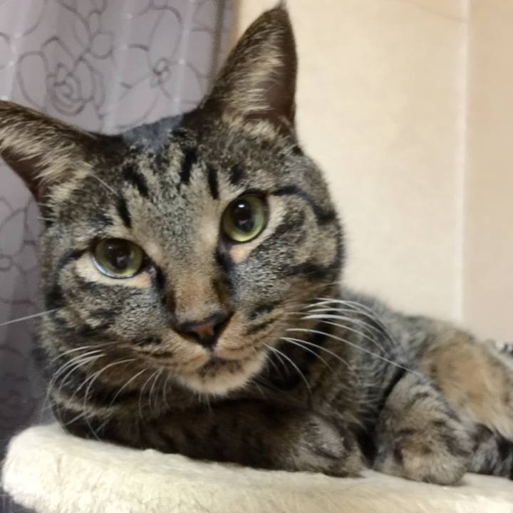 4a8e51d3 0217 464f a13f 06393532c500