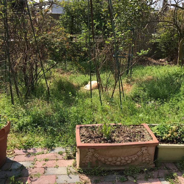 4a8e8402 6d1a 4032 af9f d0a301be7db8