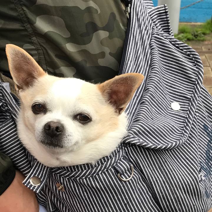 4a8f060b ba66 45ed 8548 7b19c5a659f4