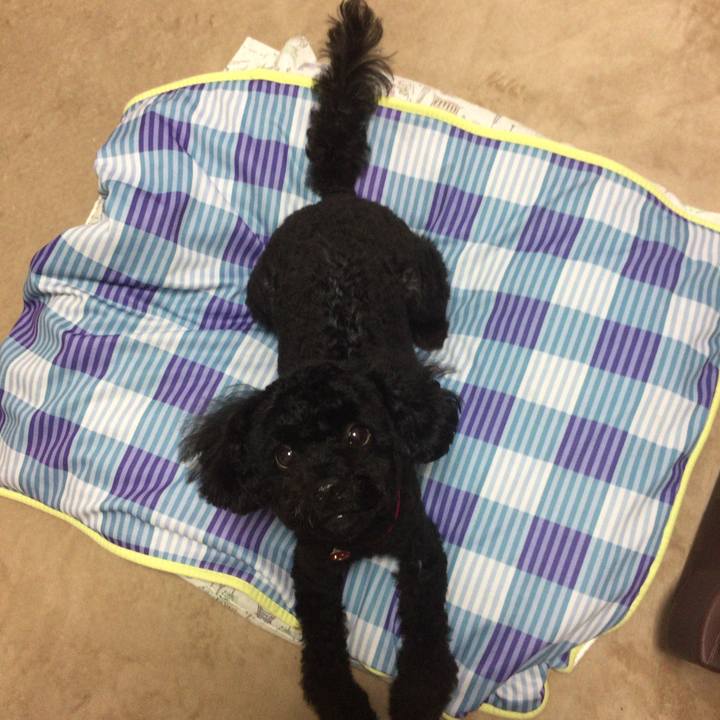 4a8f487a 8cdd 4769 8bac a54132a16746