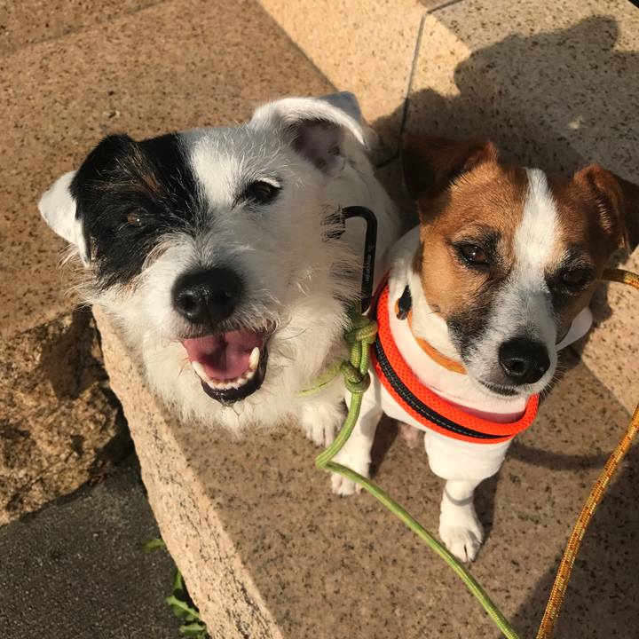 4a8f5808 5ecb 469a a80c 382d933341f1