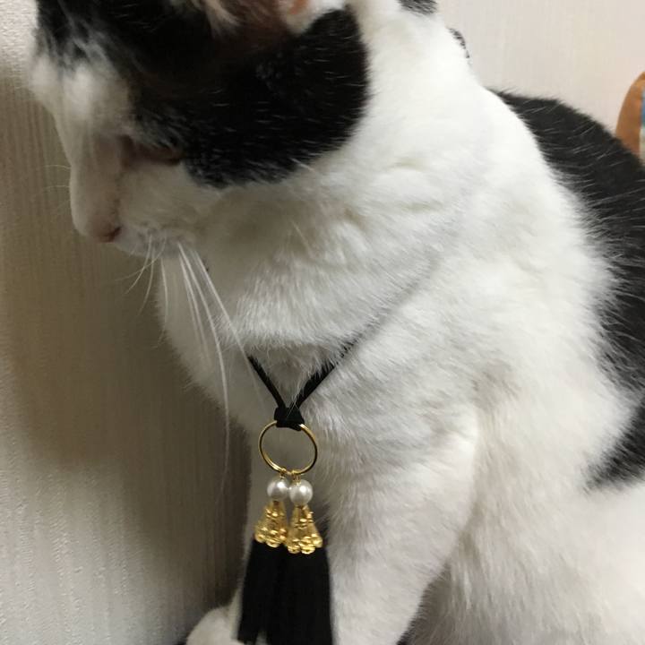 4a8f78ee 255a 4da9 be6c 0d61f415913a