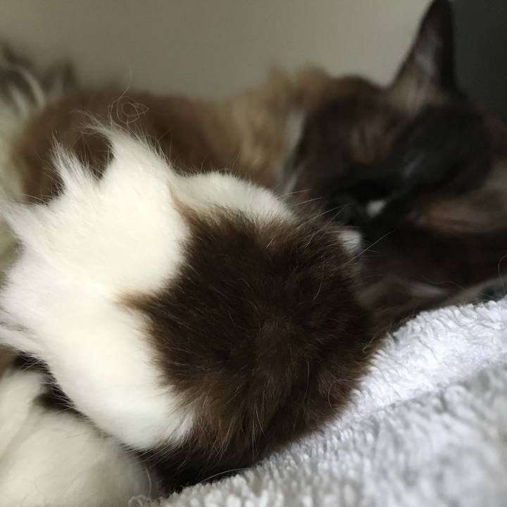 4a8fd4bc a963 406e adce 49fd59ea077c