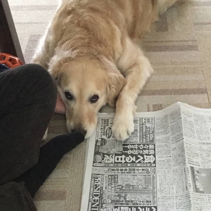 4a90492c 467d 49b7 9fe6 a1265b1516ab