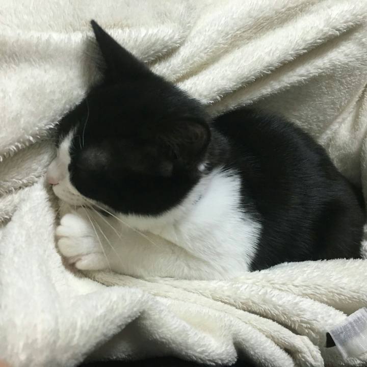 4a90979e daa8 4564 b804 295850ef6908