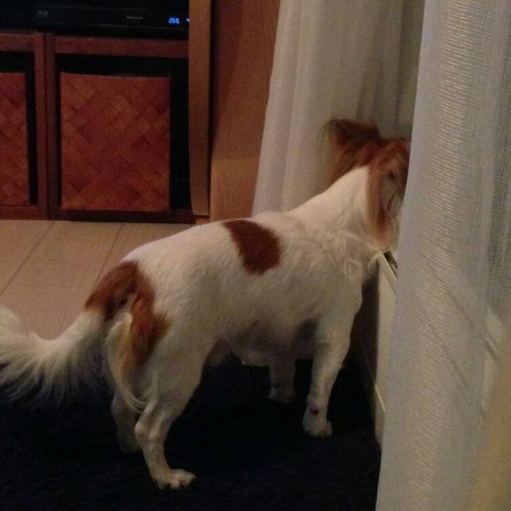 4a91074a 047d 4400 a887 bed872d78378