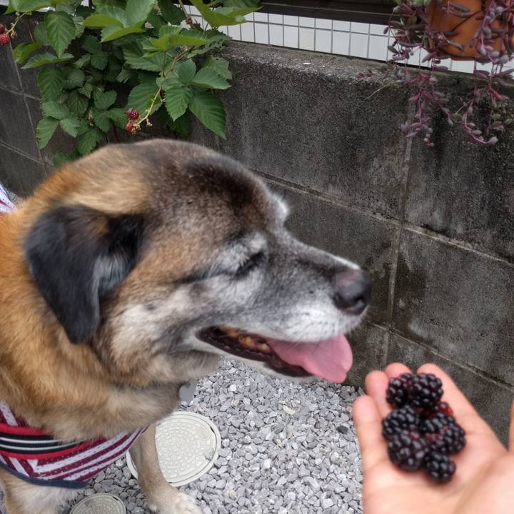 4a915c54 827b 4727 b3cd e35081d80b0c