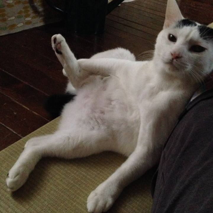 4a917138 94f7 4a5b bee8 f7b8d3578e99