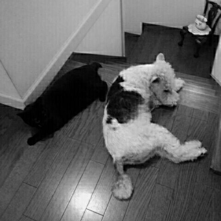 4a927bfa 5b13 4d84 b137 179dedcf0f8f