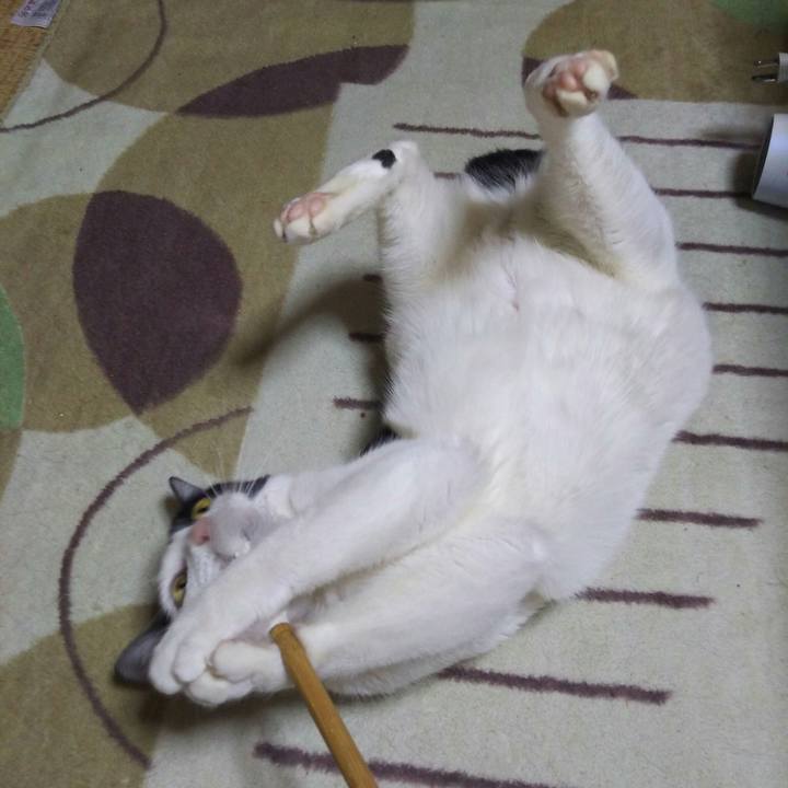 4a92a3f5 9ac9 45a9 8025 26083d80dbf8