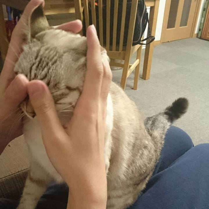 4a932d51 b1bf 4faf 9f7b e68bf09631b0