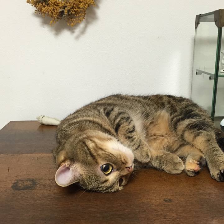 4a936cd2 c227 49fa aca0 b257938460fe