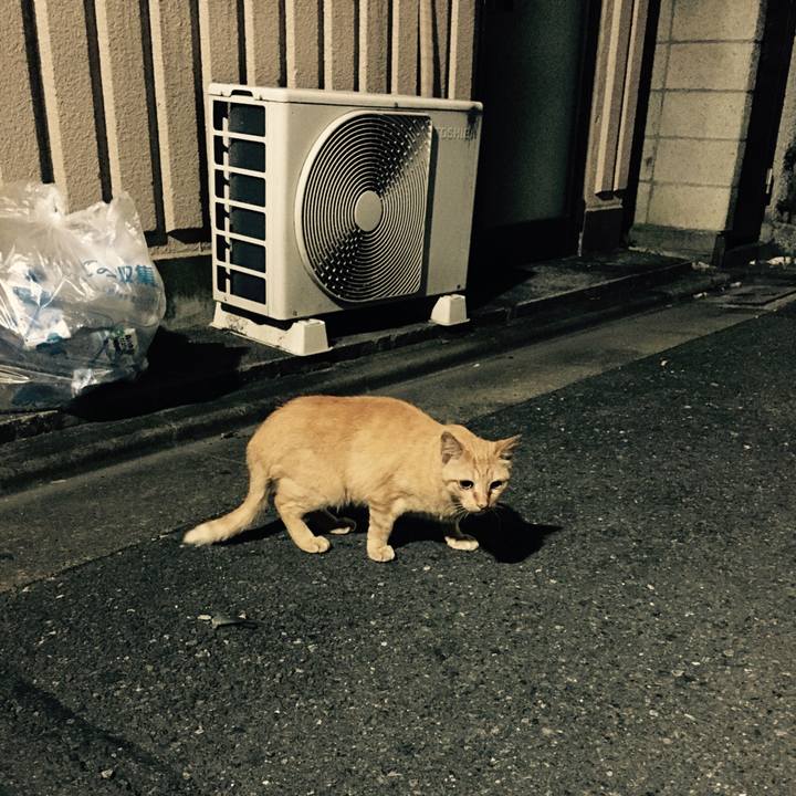 4a9433e2 7a41 467a b6e6 45ff66d4f1f1