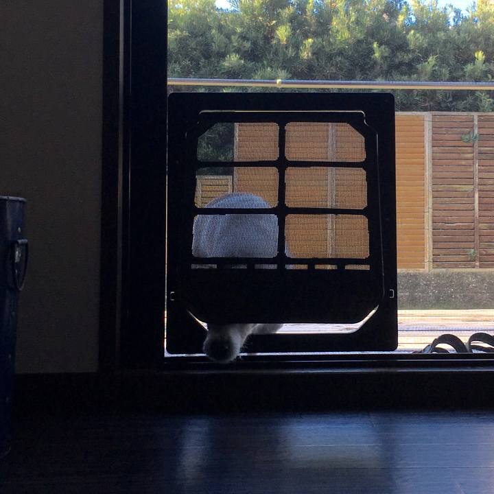 4a943b07 281a 424b 9fd8 ce14266cabe5