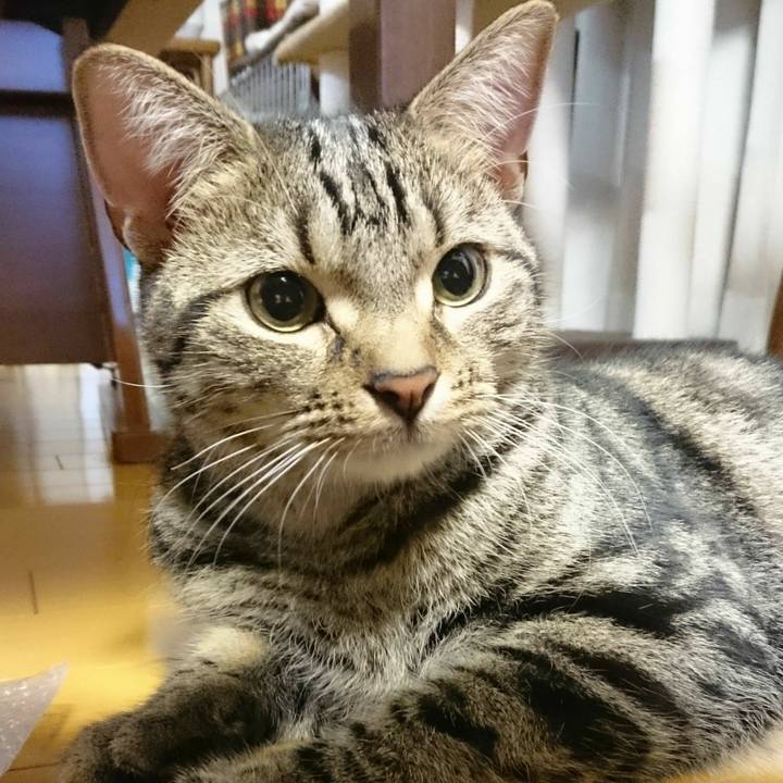 4a94ec6f 2bce 4e4c a3d9 48a80ebf77cc