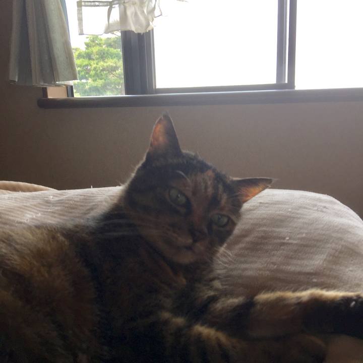 4a952a00 5bb9 4823 9a4a 16171162b5f9