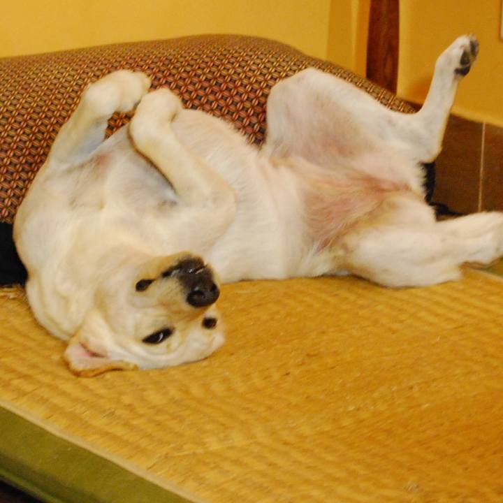 4a955443 e316 4094 8850 8bf295956eca