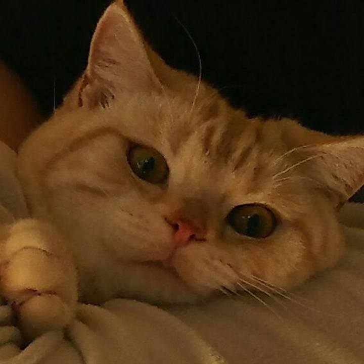 4a955e35 24cb 4a8e 89c9 93078430075d