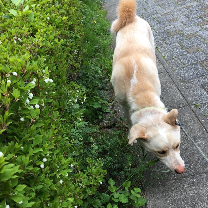 4a95ab20 d425 443c a708 2b7e50db5c06