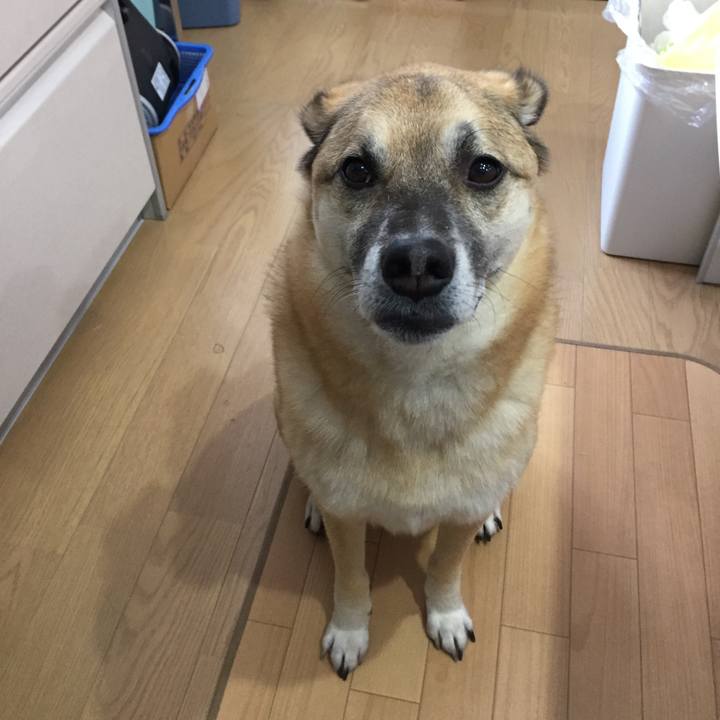 4a960e56 c4cd 4eaf 9426 fa26bb50291e