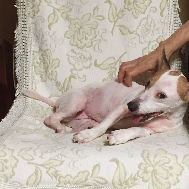 4a970e64 8648 437f 93cc 78a6fa11dc1c