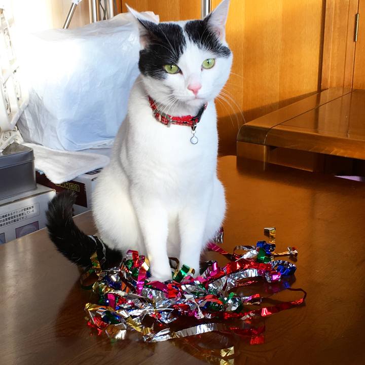 4a97459b c820 482b 9f82 346dd68e2a4e